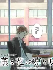 声生不息夏日篇 音乐综艺在线观看